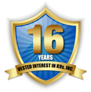 VIK9s Shield